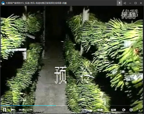 �����@�}ʹ����߮a(ch��n)---�����a(b��)�}��(chu��ng)�߮a(ch��n)